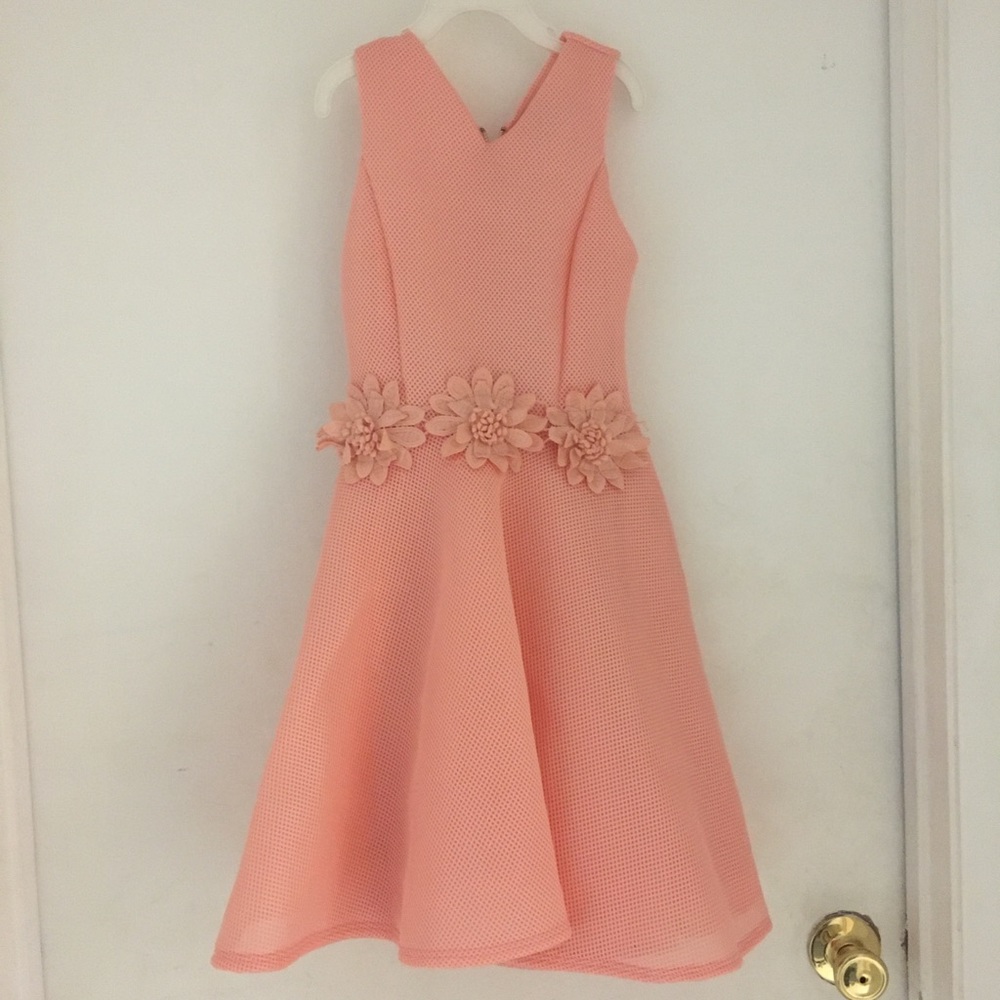 Pink Crush Dress! Girls Size 10